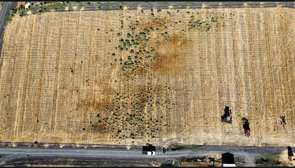 5 Acres of Residential Land for Sale in Dos Palos, California