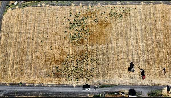 5 Acres of Residential Land for Sale in Dos Palos, California