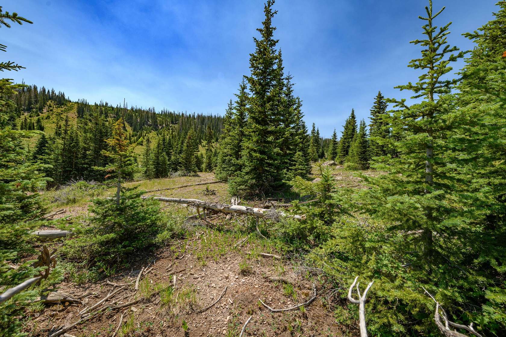 1.12 Acres of Land for Sale in Brian Head, Utah