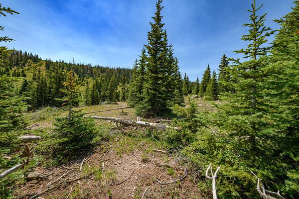 1.12 Acres of Land for Sale in Brian Head, Utah