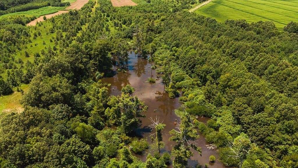 70 Acres of Recreational Land & Farm for Sale in Sledge, Mississippi