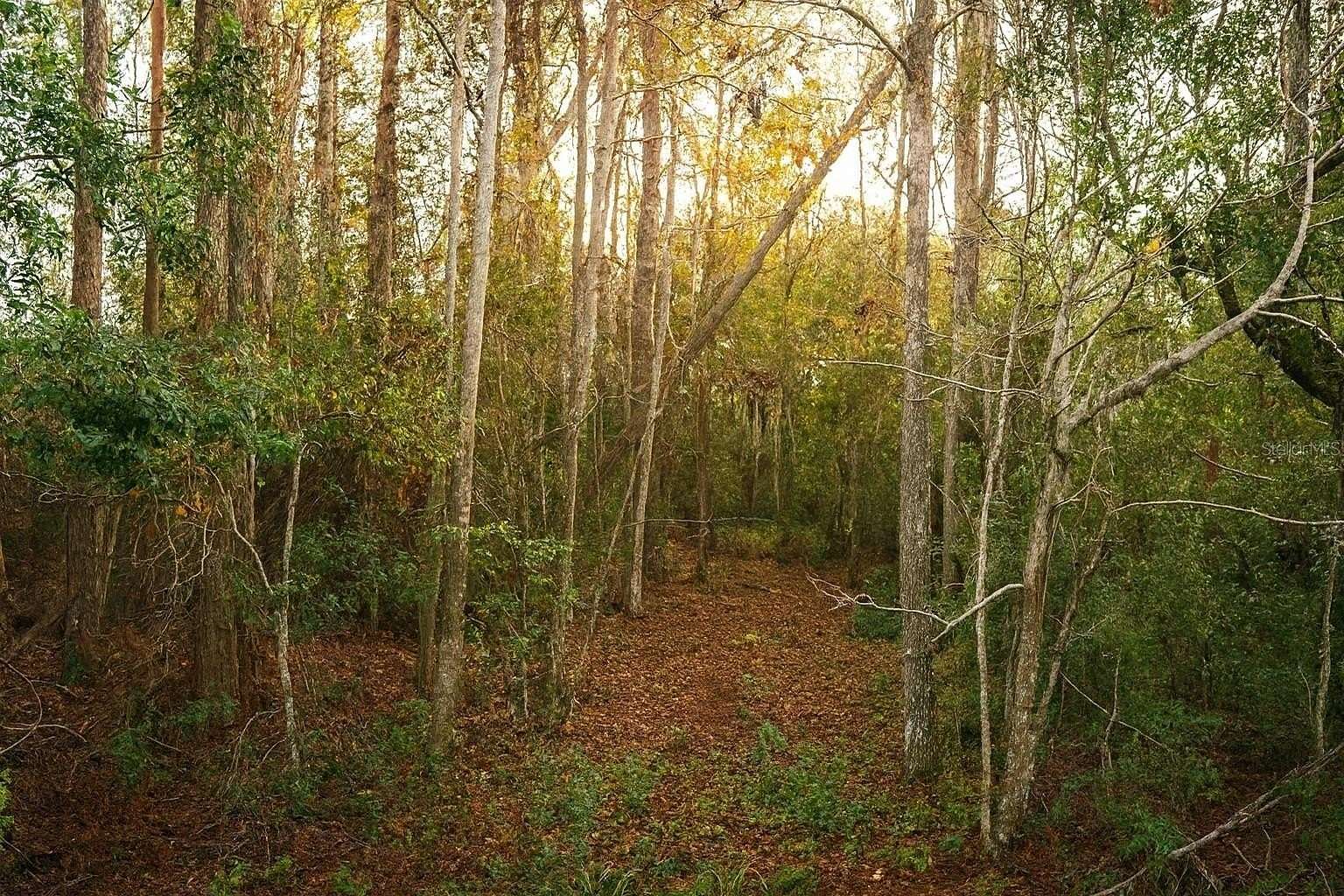 4 Acres of Mixed-Use Land for Sale in Yalaha, Florida