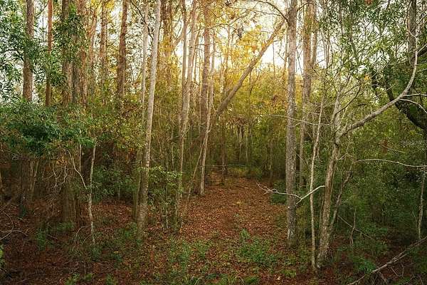 4 Acres of Mixed-Use Land for Sale in Yalaha, Florida