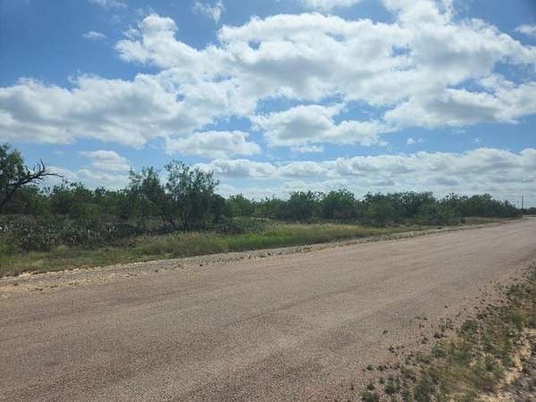 1 Acre of Residential Land for Sale in Millersview, Texas