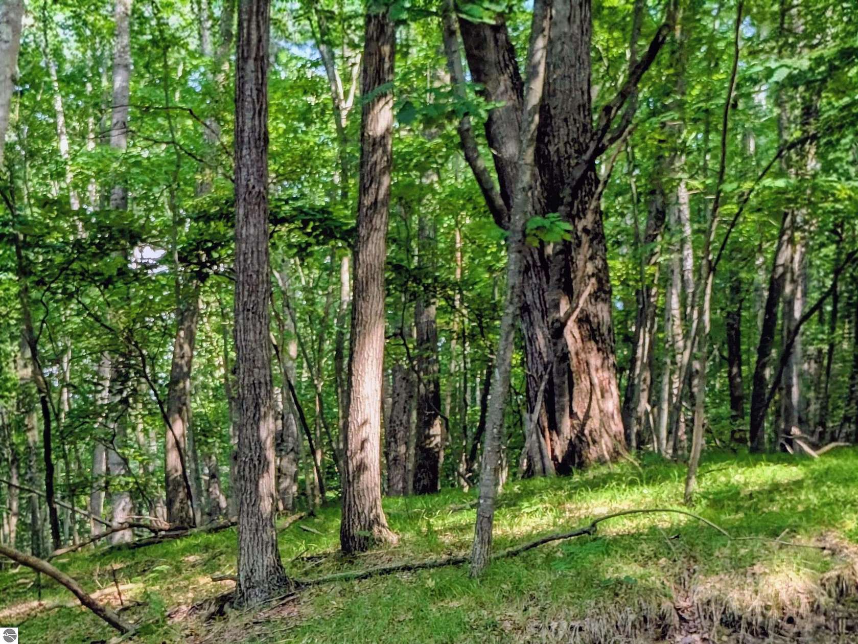 0.48 Acres of Land for Sale in Canadian Lakes, Michigan