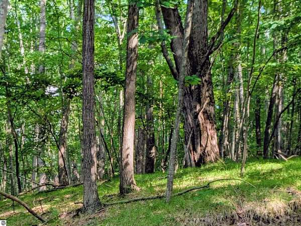 0.48 Acres of Land for Sale in Canadian Lakes, Michigan