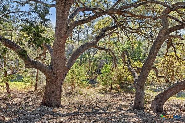 3.13 Acres of Land for Sale in Blanco, Texas