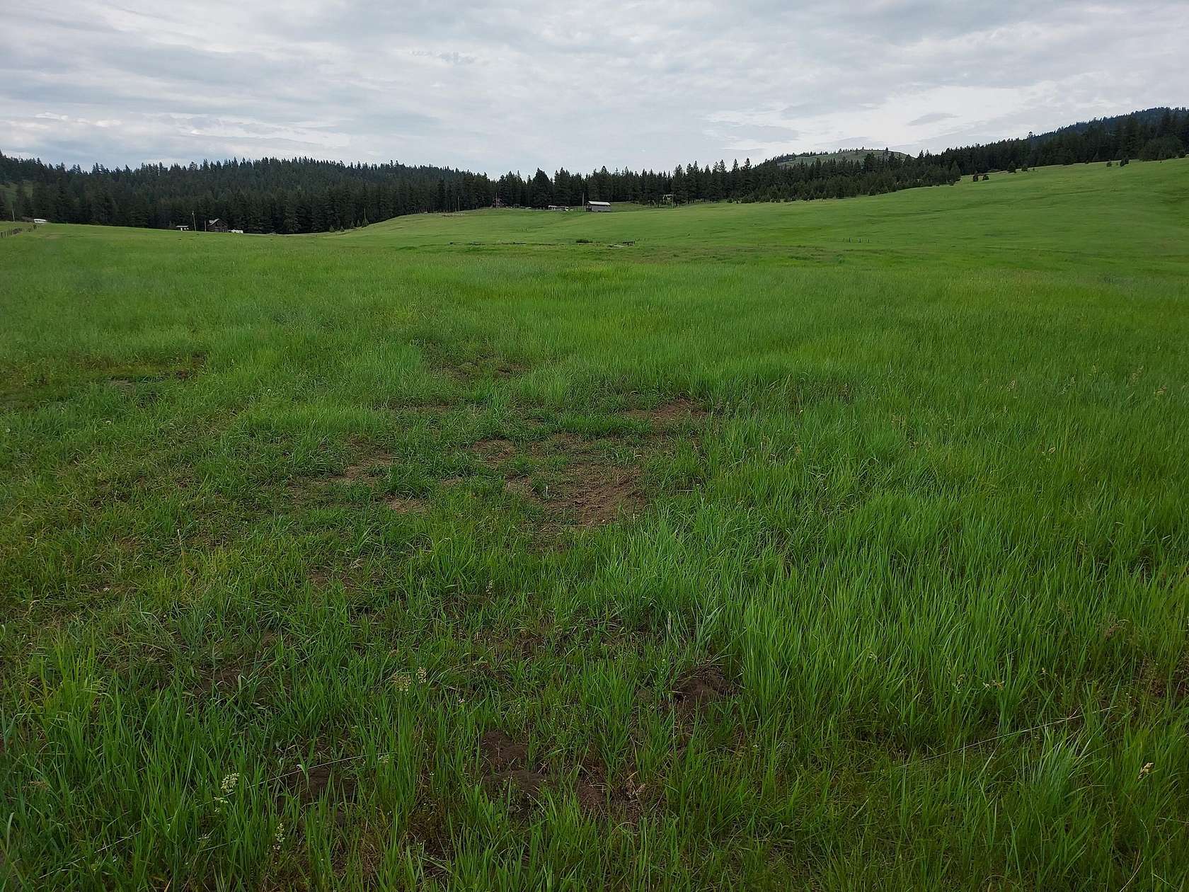 4.48 Acres of Residential Land for Sale in Republic, Washington