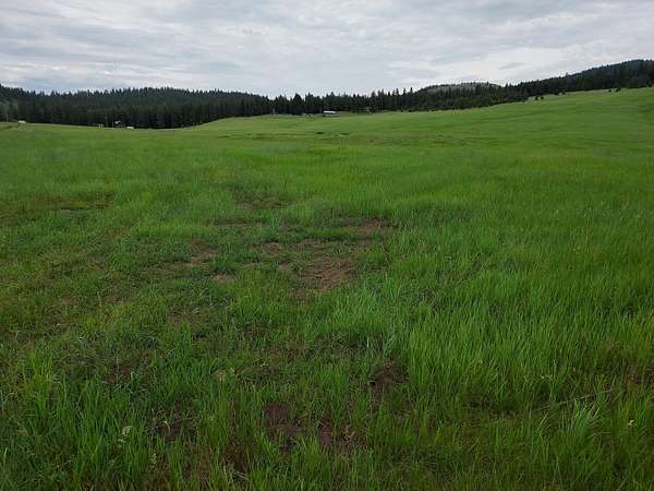 4.48 Acres of Residential Land for Sale in Republic, Washington