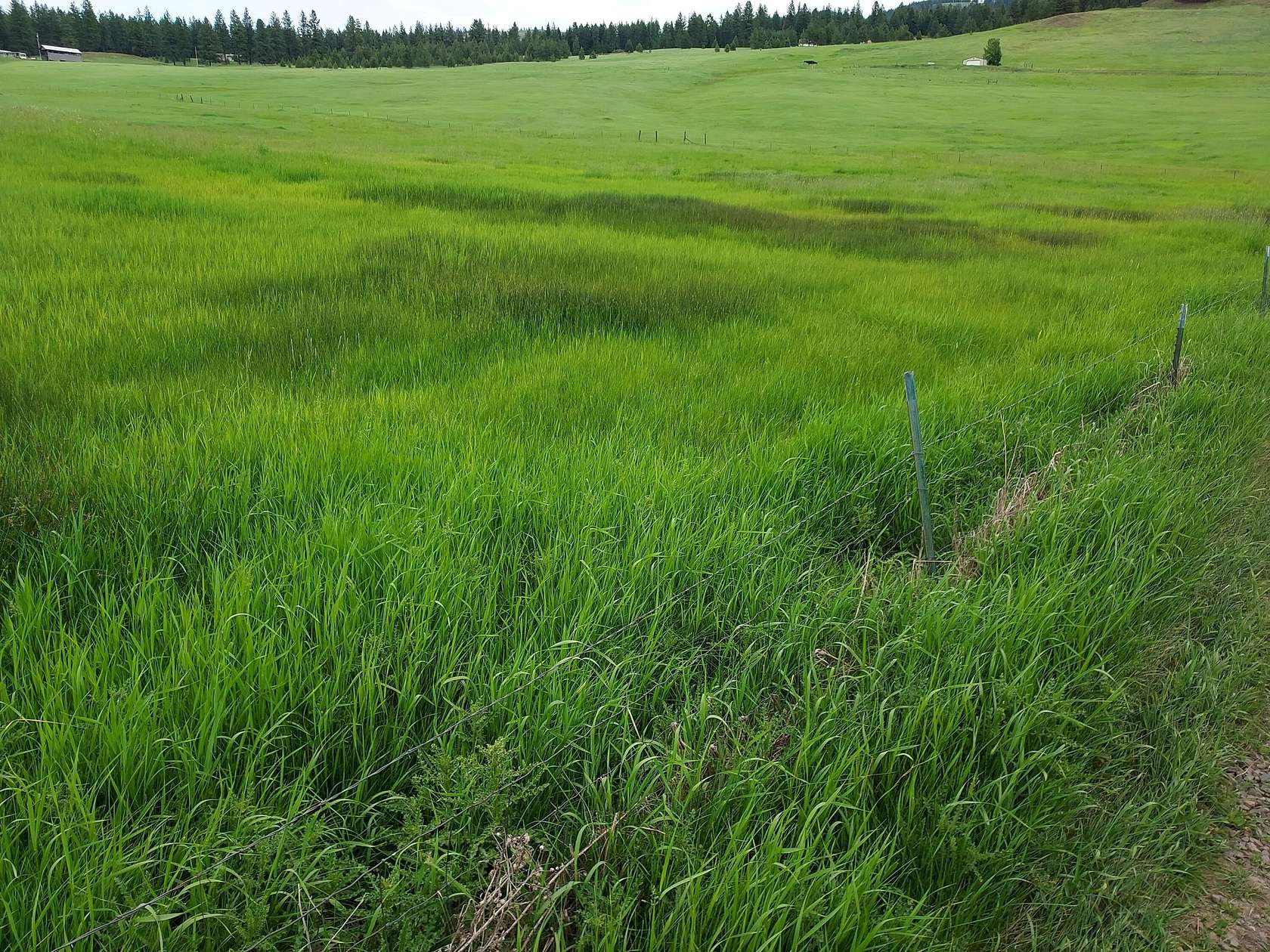 3.29 Acres of Residential Land for Sale in Republic, Washington