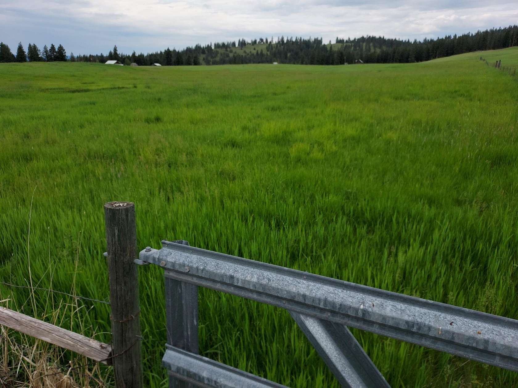 3.29 Acres of Residential Land for Sale in Republic, Washington