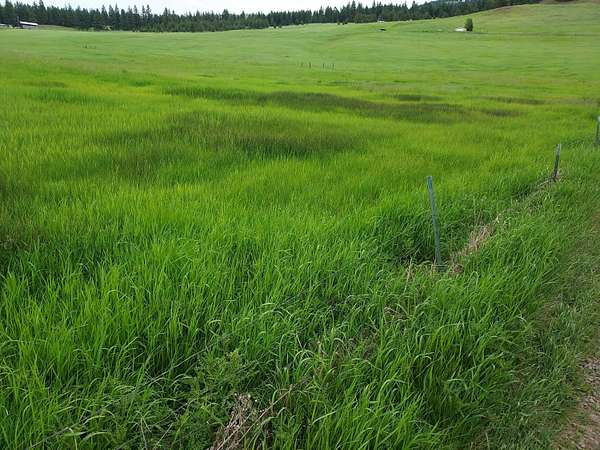 3.29 Acres of Residential Land for Sale in Republic, Washington