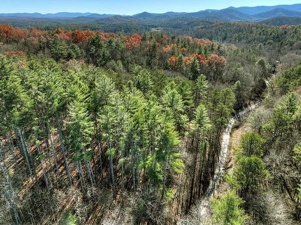 15.5 Acres of Land for Sale in Blue Ridge, Georgia
