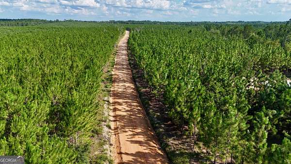 2 Acres of Residential Land for Sale in Baxley, Georgia