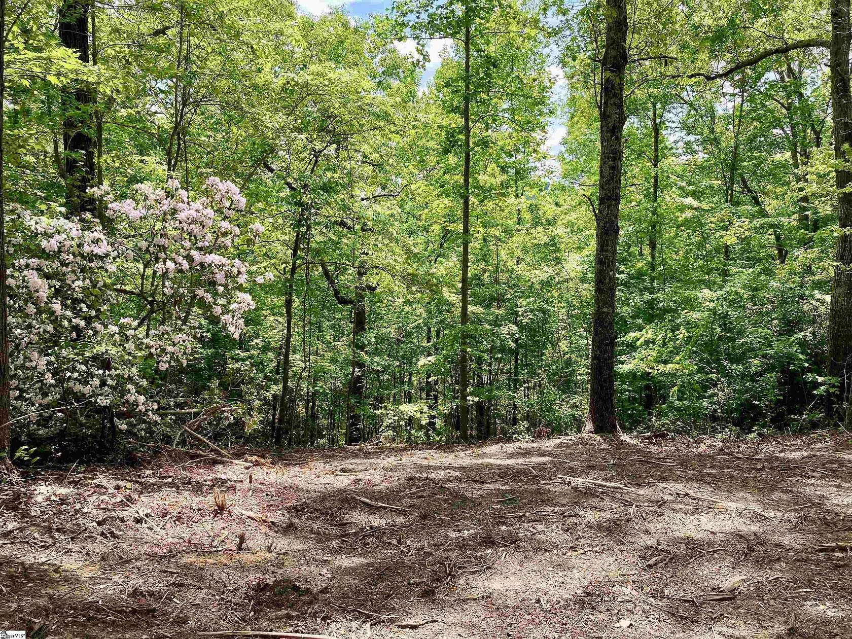 0.9 Acres of Residential Land for Sale in Travelers Rest, South Carolina
