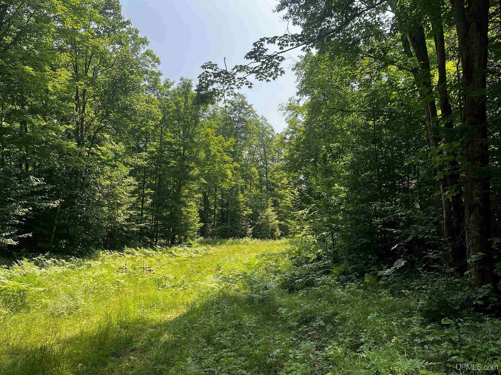 10 Acres of Recreational Land for Sale in Big Bay, Michigan