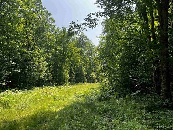 20 Acres of Recreational Land for Sale in Big Bay, Michigan