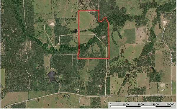 134 Acres of Recreational Land & Farm for Sale in Cistern, Texas