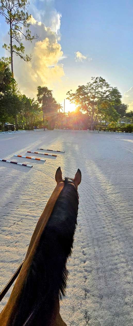 5 Acres of Agricultural Land for Lease in Loxahatchee Groves, Florida