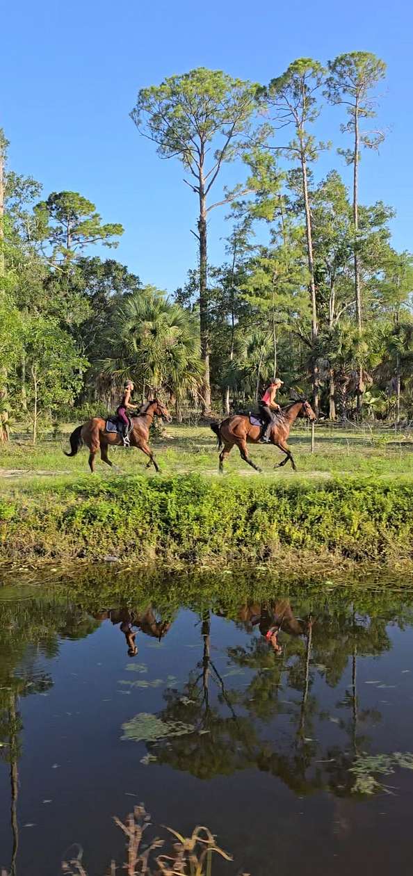 5 Acres of Agricultural Land for Lease in Loxahatchee Groves, Florida