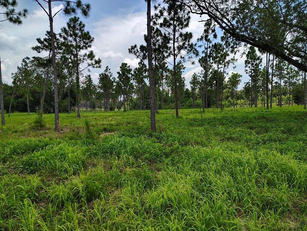 23.2 Acres of Agricultural Land for Sale in Pansey, Alabama