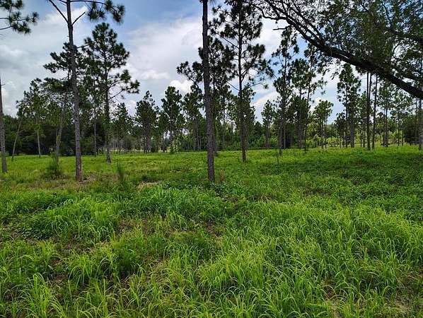 23.2 Acres of Land for Sale in Pansey, Alabama
