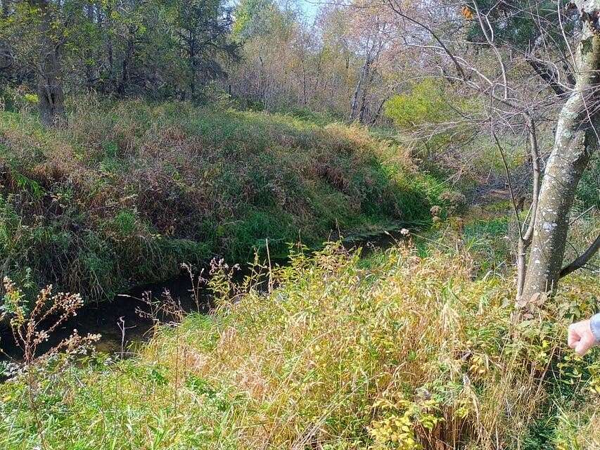 4 Acres of Residential Land for Sale in Custer, Michigan