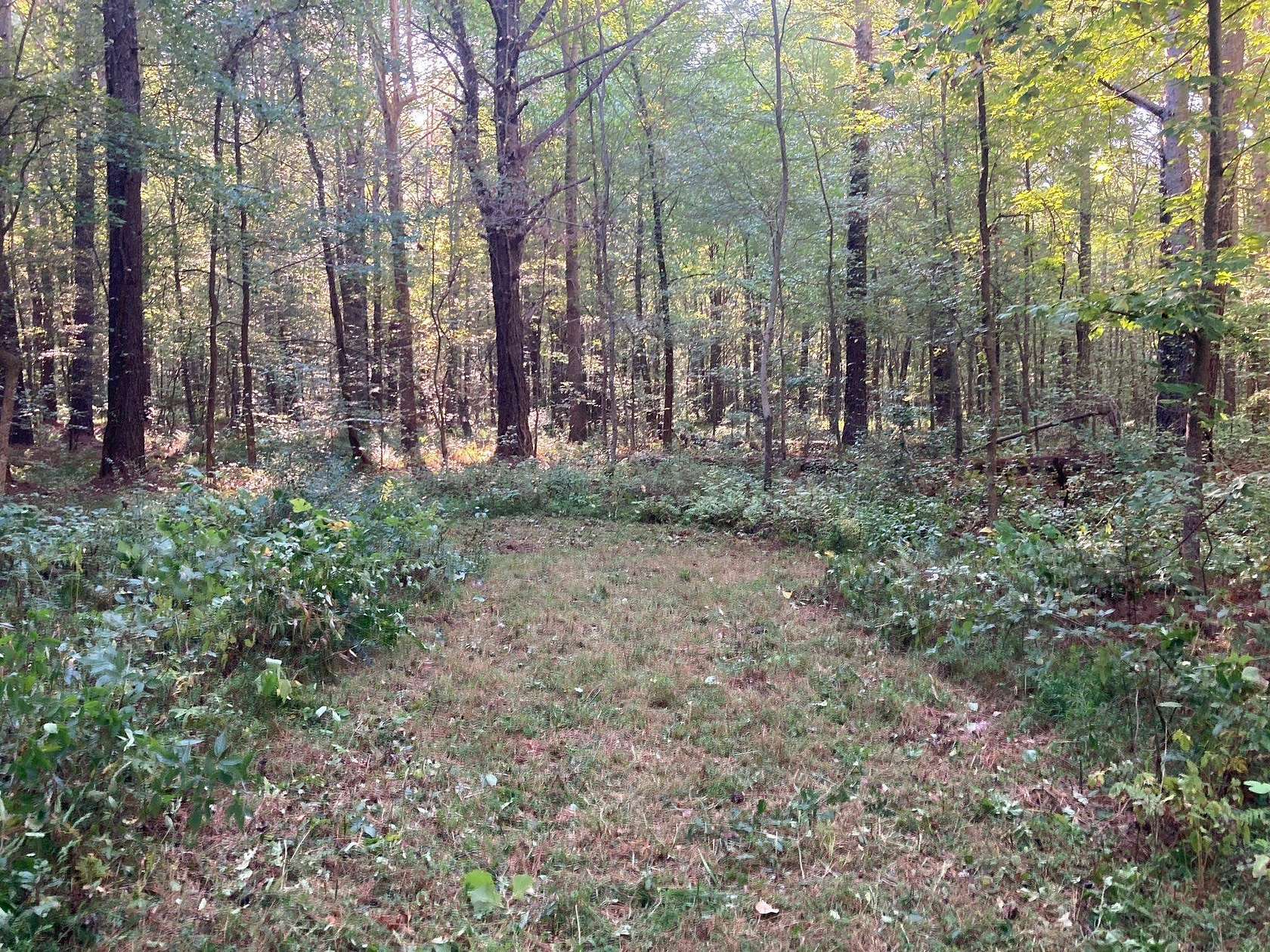 10 Acres of Residential Land for Sale in Camden, Tennessee