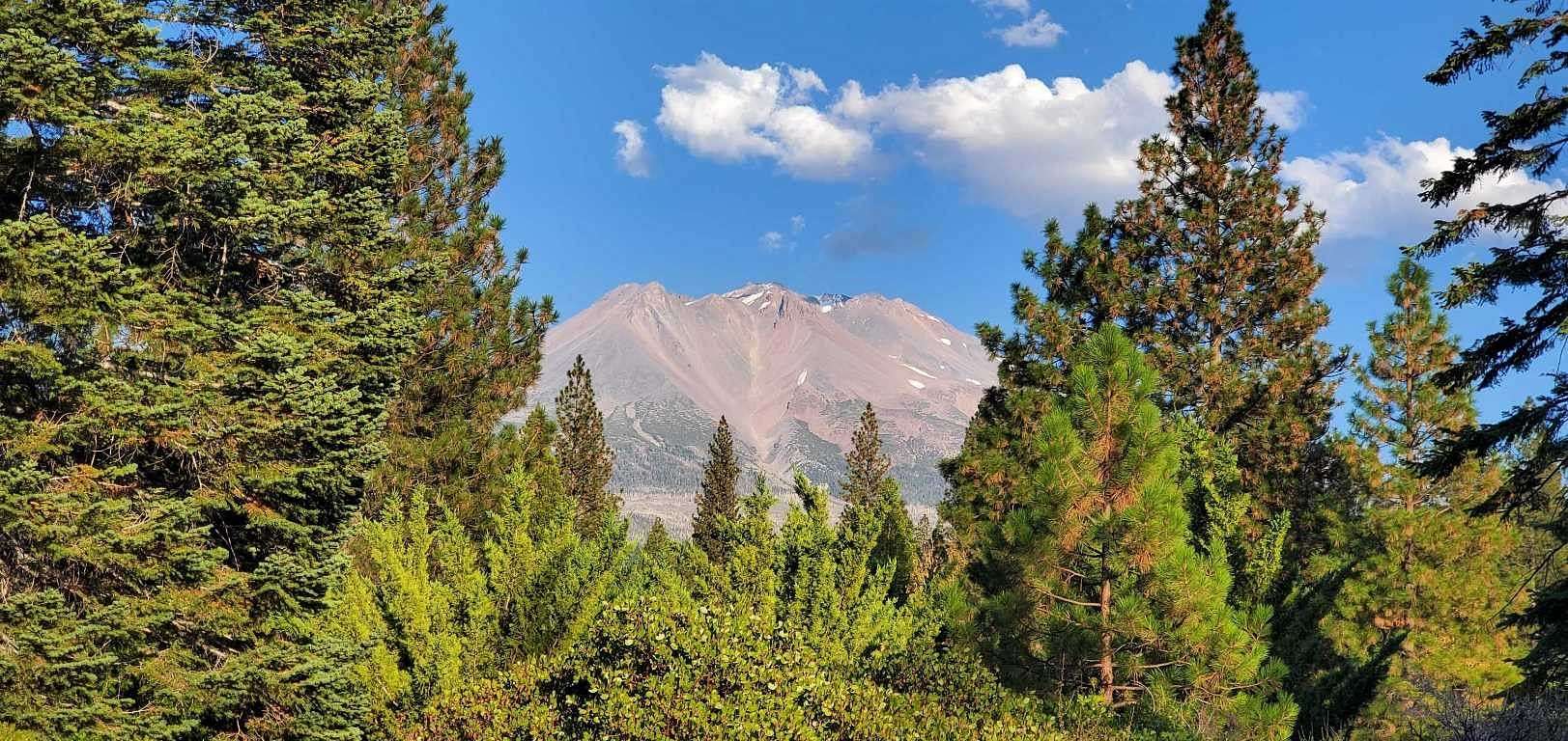 5 Acres of Residential Land for Sale in Weed, California