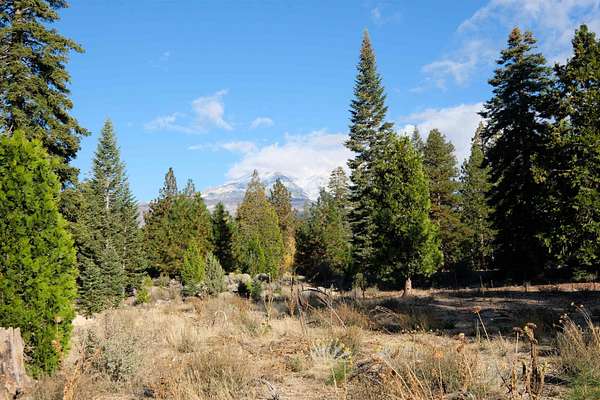 5 Acres of Residential Land for Sale in Weed, California