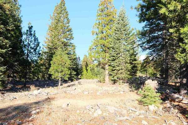 5 Acres of Residential Land for Sale in Weed, California