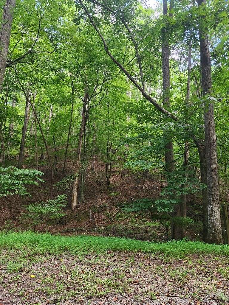 0.44 Acres of Land for Sale in Ellijay, Georgia