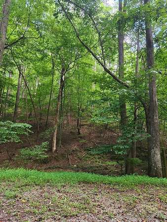 0.44 Acres of Land for Sale in Ellijay, Georgia