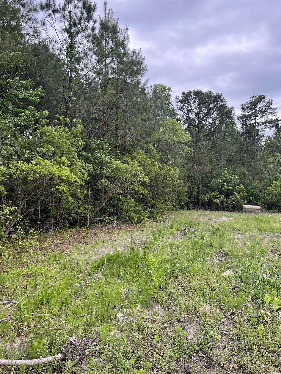 32.5 Acres of Land for Sale in Murrells Inlet, South Carolina