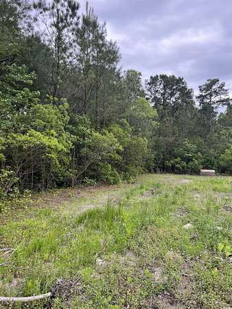 32.5 Acres of Land for Sale in Murrells Inlet, South Carolina