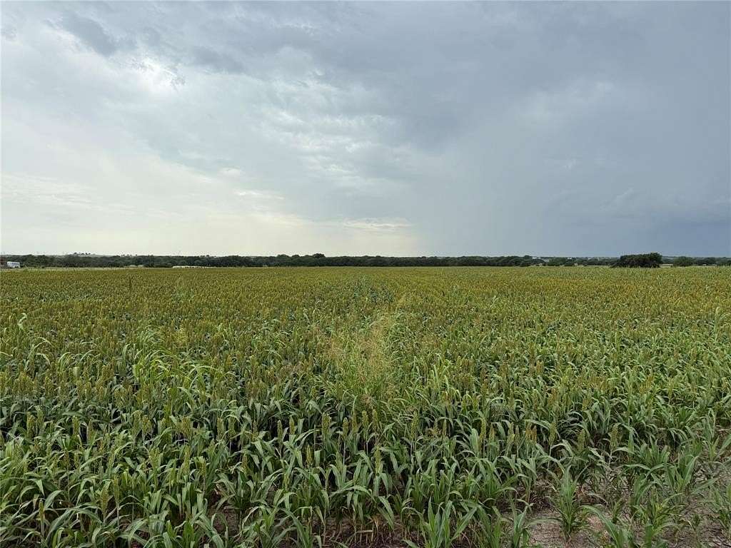 3 Acres of Residential Land for Sale in Gainesville, Texas