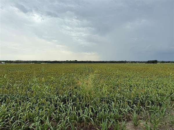 3 Acres of Residential Land for Sale in Gainesville, Texas