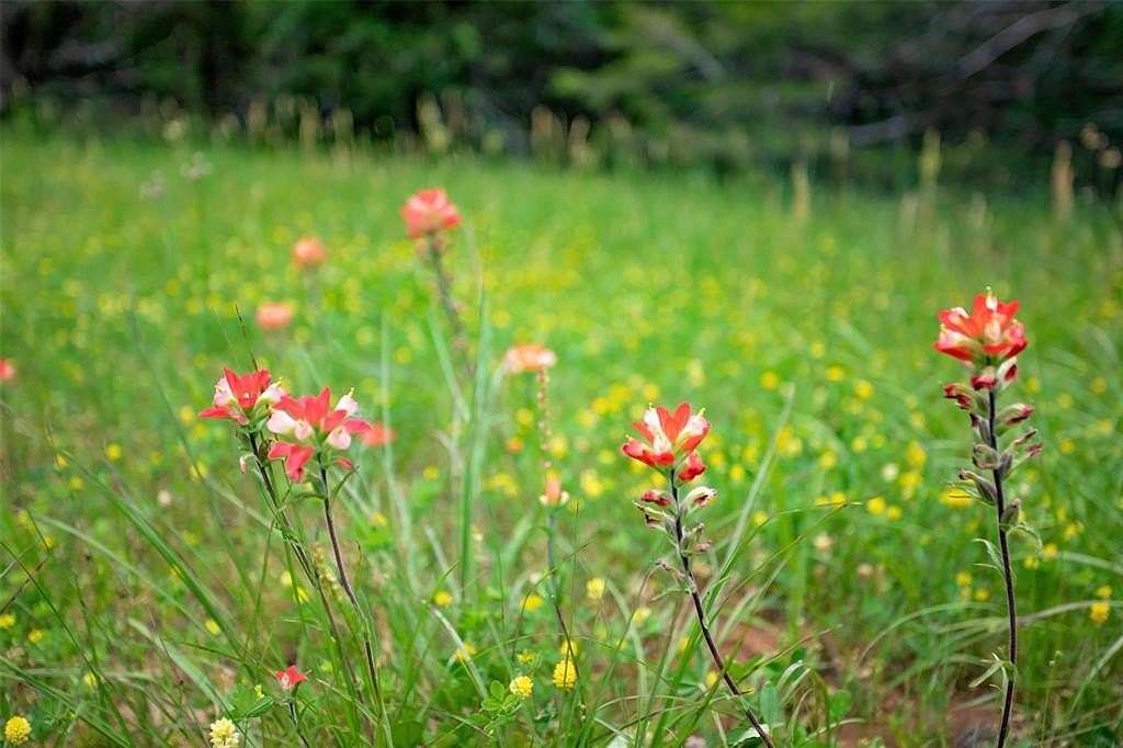 0.54 Acres of Residential Land for Sale in Gordonville, Texas