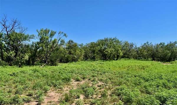 161 Acres of Recreational Land & Farm for Sale in Lohn, Texas