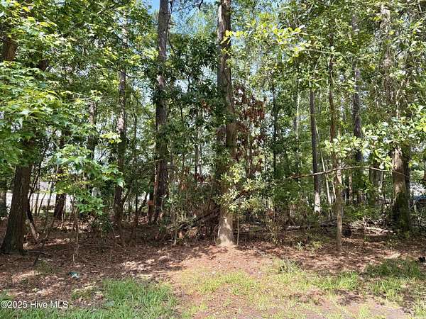 0.12 Acres of Residential Land for Sale in New Bern, North Carolina