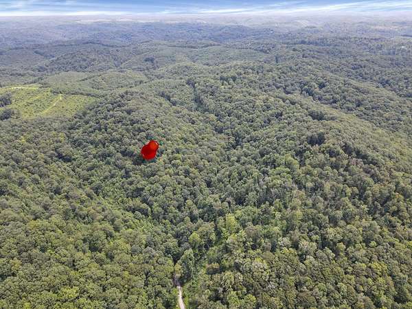 40 Acres of Recreational Land for Sale in South Bloomingville, Ohio