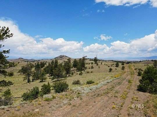 40.4 Acres of Recreational Land for Sale in Hartsel, Colorado