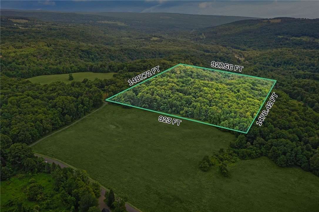 30 Acres of Recreational Land for Sale in Newfield, New York