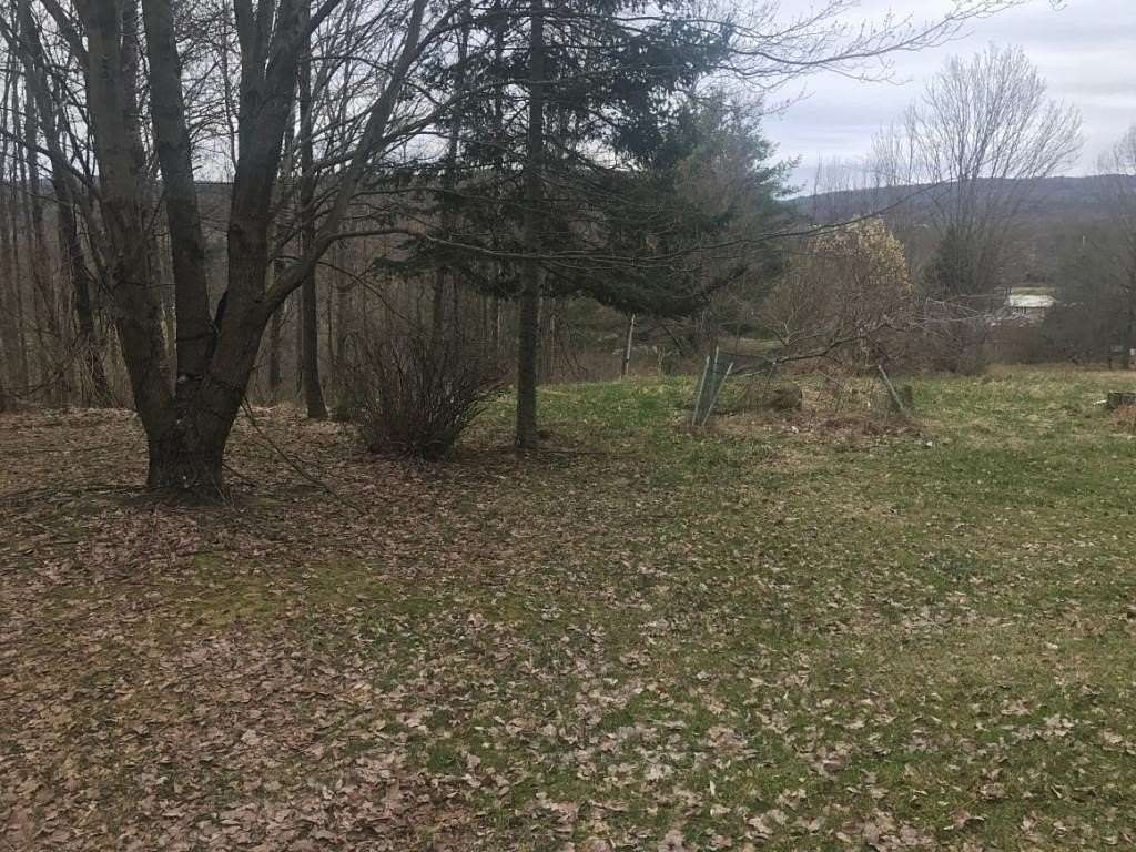 150 Acres of Recreational Land for Sale in Windsor, New York