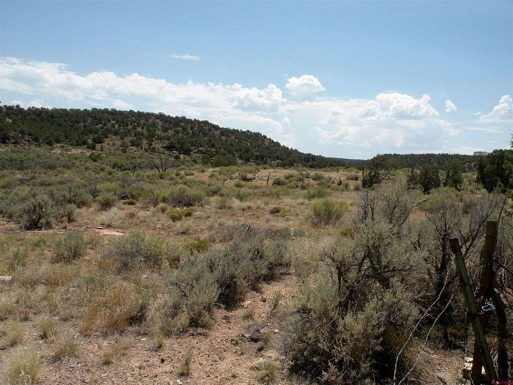 26 Acres of Land for Sale in Naturita, Colorado