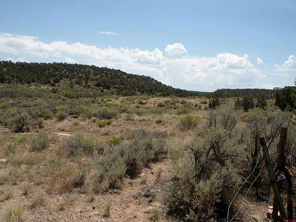 26 Acres of Land for Sale in Naturita, Colorado
