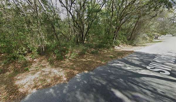 0.24 Acres of Residential Land for Sale in Dunnellon, Florida