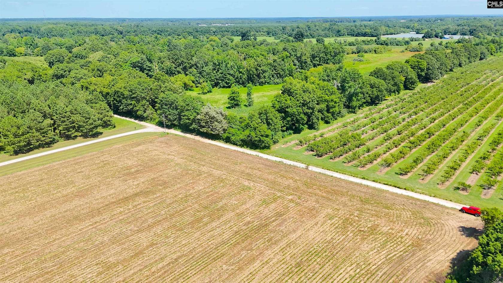 46.9 Acres of Agricultural & Residential Land for Sale in Monetta, South Carolina