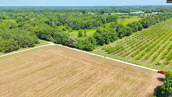 46.9 Acres of Agricultural & Residential Land for Sale in Monetta, South Carolina