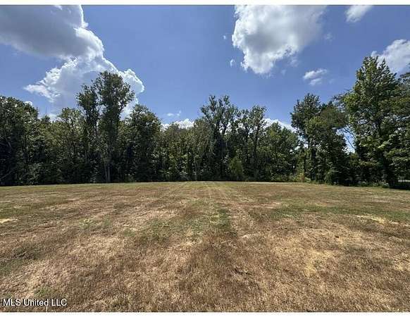 3.59 Acres of Residential Land for Sale in Lake Cormorant, Mississippi